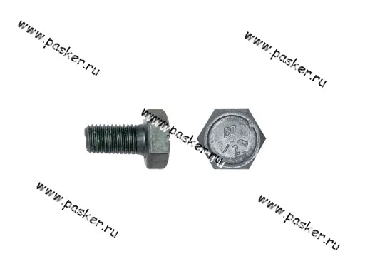 Болт М10х20 крепления кронштейна генератора 2101 короткий 2101-15970521
