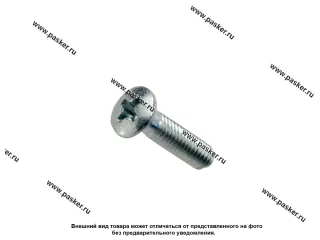 Винт М4х16 крепления щет узла стартера 2101-07/зеркала бокового 2108